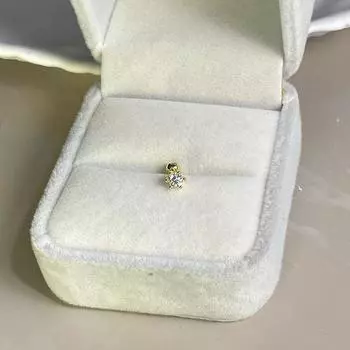 Six-Claw Screw Stud Earrings 14K Female Sleep No Need to Take off Pure Silver 6 claws 14K gold 3m single (rod length 4mm)
