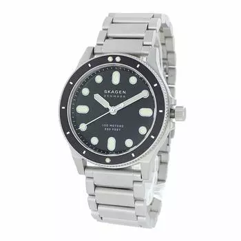 SKAGEN FISK Серебристые часы унисекс SKW6666 с черным циферблатом [Skagen] Мужские женские [Товар]