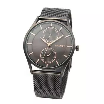 Skagen SKAGEN кварцевые часы SKW6180 Серые мужские [товар]