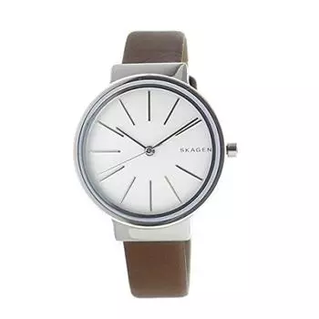 Skagen SKAGEN кварцевые женские часы SKW2479 Серебро [предмет]