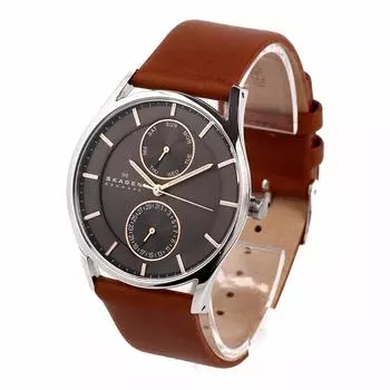 SKAGEN SKW6086 HOLST watch multi-function men s [product]