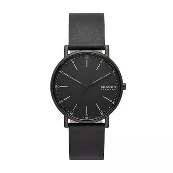 [Скаген] смотреть Signatur SKW6902