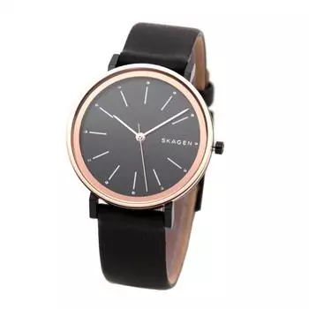 SKAGEN Watch SKW2490 [Skagen] Women s [Item]