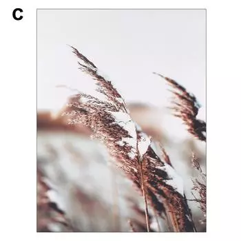 Скандинавские постеры и принты, настенные картины с пейзажами 30X40 см, тростниковые сухоцветы, растения, настенное искусство, холст для декора гостиной C