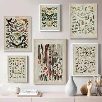 Скандинавский винтажный постер, пчела, бабочка, насекомое, холст, настенный принт, художественная живопись в виде птицы, животного, декоративная картина, образовательный декор 21x30cm No Frame