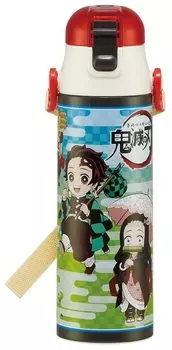 Skater Бутылка для воды из нержавеющей стали Water Direct Demon Kimetsu no Mission, легкая, для прохладной воды, для спорта, для детей, питьевая, 580 мл, Slayer Yaiba,