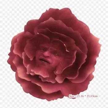 Сказочные приключения Алисы в стране чудес Алиса в Wo Утюг на термопереносной печати виниловые нашивки наклейки для одежды DIY аппликации моющиеся нашивки