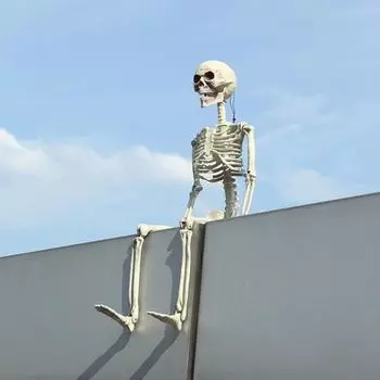 Скелет на Хэллоуин Скелет всего тела Череп с подвижными суставами Украшение дома с привидениями Страшный усилитель атмосферы для вечеринок на Хэллоуин Бары