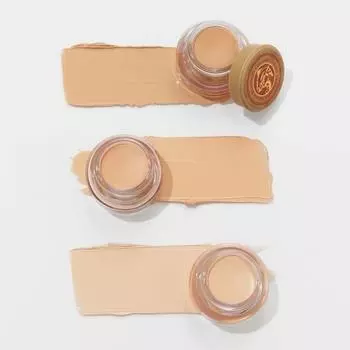 Skinfood [новый] Skinfood Salmon Dark Circle Concealer 3colors Нет. 0 Свет