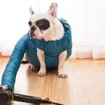 Складной фен для собак, портативный мешок для сушки домашних животных, эффективные фены для волос для собак, мешок для выдувания, сушилка для кошек, зимние аксессуары для чистки домашних животных S синий