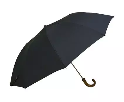 Складной зонт TEL1 Umbrella Style 10 Ribs TEL1 Navy [Зонтики Fox] Мужской FX-116 [Товар]