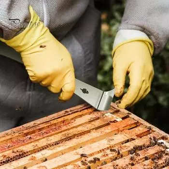 Скребок из нержавеющей стали, инструмент для удаления гвоздей, инструмент для вытягивания, скребок для улья, ручной инструмент, оборудование для пчеловодства L серебряный