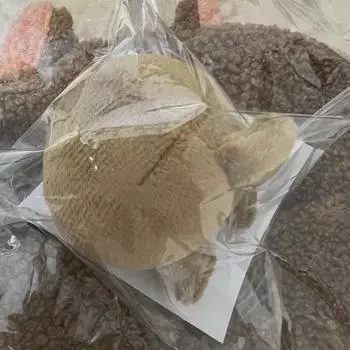 Skzoo Grip Talk Butt Han Quoka