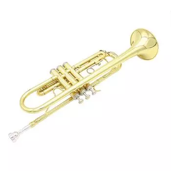 SLADE Brass Bb Труба для профессионального новичка золотой
