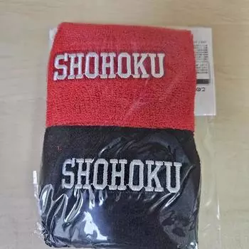 Slam Dunk Сон Тхэ-Соп