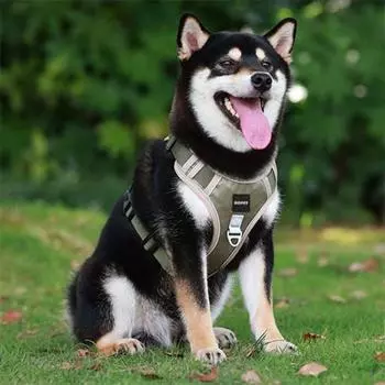 SLC Pet маленькая собака, собака среднего размера, сверхлегкая шлейка для больших собак, бежевая