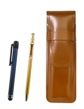 Slim Brown Leather Pen Case with Blue Metallic Stick and 60 Gold Ballpoint Pens (ASC-ALL-SV60KBP)