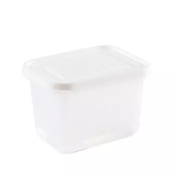 Сливной контейнер для хранения с герметичной крышкой из полипропилена для холодильника, контейнер для хранения продуктов для зеленого лука и имбиря белый