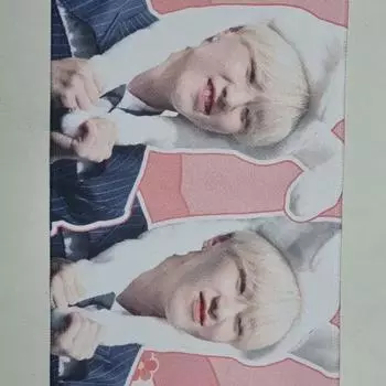 Слоган Seventeen Hoshi