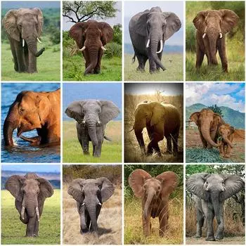 Слон DIY 5D алмазная живопись полная круглая дрель животное Алмазная вышивка крестиком мозаика наборы настенное искусство домашний декор Full Round 20x30CM