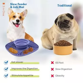 Slow Food bowl Dog bowl anti-upset multi-functional slow food cushion rice bowl cat food bowl dog food bowl бирюзовый