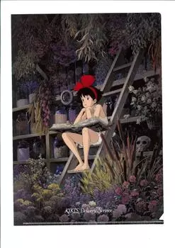 Служба доставки A4 Прозрачный файл ART Series Herbal Storage Kiki s