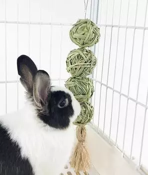 Small Animals Chew Toys Hanging Chew Balls for Bunny Rabbit Chinchilla Guinea Pig Chinchilla Bunny зелёный