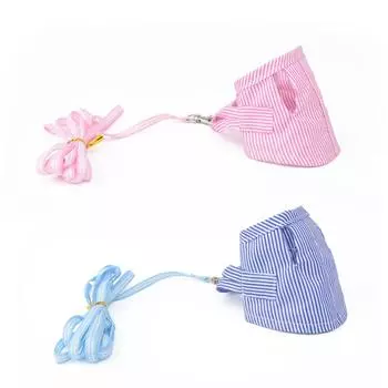 Small Pet Squirrel Dutch Pig Carrier Leash Striped Chest Carrier Set