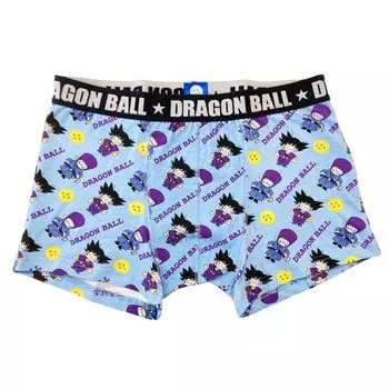 Small Planet Dragon Ball Boxer Goku Pattern Size L Briefs, Costume, C,