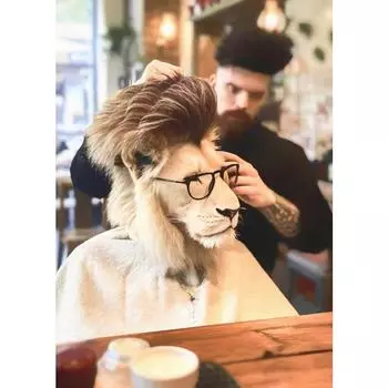 Смешная прическа Лев в парикмахерской Парикмахер Искусство Постер Холст Живопись Настенные Принты Картина Комната Барбершоп Домашний Декор 21cm30cm NoFrame