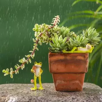 Смешные фигурки лягушек из смолы для интерьера, украшения интерьера ванной комнаты, аксессуары, персонализированный подарок, предмет садового декора