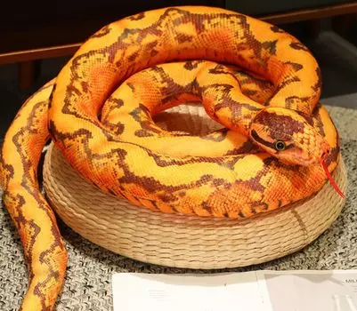 Snake Cushion Body Pillow Plush Toy Animal Nap Party Halloween Snake [dokidoki] [Orange] Cute, Realistic, Pillow, Reptile, Prank, Event, Supplies, оранжевый