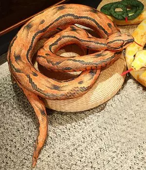 Snake Cushion Body Pillow Plush Toy Animal Nap Party Halloween Snake [dokidoki] [Brown] Cute, Realistic, Pillow, Reptile, Prank, Event, Supplies,