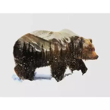 Снежное пиво животное DIY цифровая живопись по номерам современное настенное искусство холст картина уникальный подарок домашний декор 40x50см 40x50cm no frame