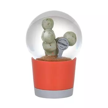 Снежный шар Далтона #001 геометрия кактусовый сад подарок Высота 10 см Ширина 6,5 см Глубина 6,5 см NB-0676/001 РАСТЕНИЯ ВОДНЫЙ ШАР ГЕОМЕТРИЧЕСКИЙ