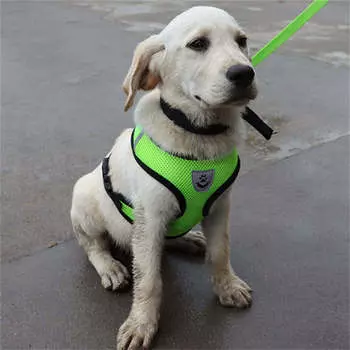 Собачья веревка. Артефакт для прогулок. Собачий ошейник. Рука собаки. Веревка. Жилет для прогулок. S красный