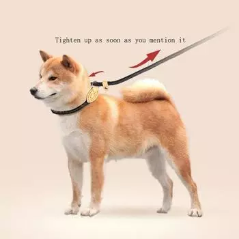 Собачий поводок, специализирующийся на дрессировке на уровне Blast Race P Rope Collar Leash Blast Collar Collar, автоматически затягивающий поводок для собак