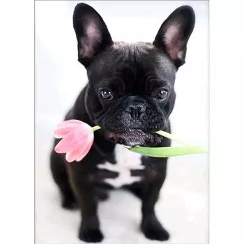 Собака DIY Полный горный хрусталь Алмазная вышивка Картина Фотографии Домашнее украшение 30*40 cm