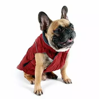 Собака Холодная Собака Зимняя Собака Домашние Животные Для Маленьких и Очень Больших Поставляется С Поводком Легко Липучка Классический Стиль Пальто, Зимнее, Ветрозащитное, Защита, Куртка, Жилет, Одежда,