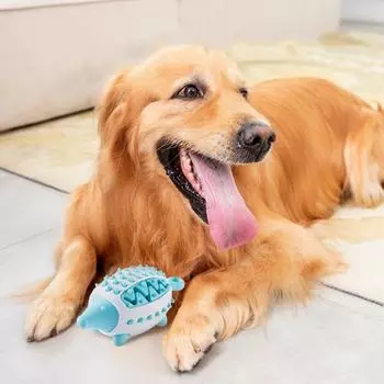 Собака кусает зубы игрушки игрушка ежик утечка еда интерактивная дрессировка головоломка игрушки для собак