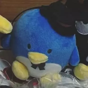 Собака Луны Сотрудничество с Sanrio Чуя Такседо Сэм Крейн Сестра