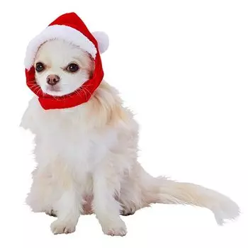 Собака Петио Косплей Рождественская трансформация Хоккамури AWY Santa S