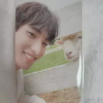 Социальный клуб Seventeen Do-kyum Foca