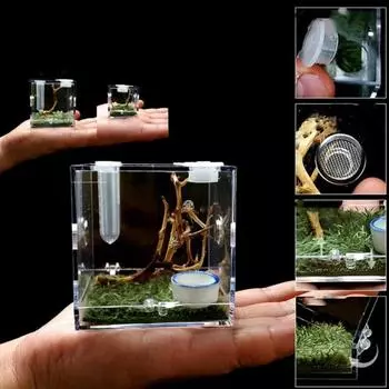 Соединительная коробка для рептилий, маленькие рептилии, прозрачный акрил, коробка для подачи насекомых, террариумный резервуар, тестовая выхлопная система для FWEF s-S