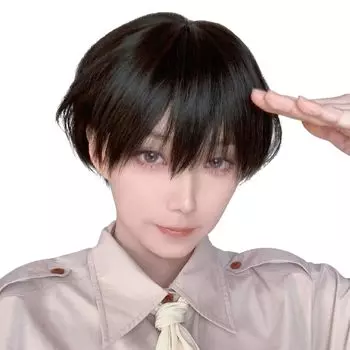 Sofeiyan Full Heat Small Commuting Wig, мужской, короткий, мужская одежда, Harajuku, парик, натуральный, устойчивый, лицо, популярный, красивый, модный, унисекс, чёрный
