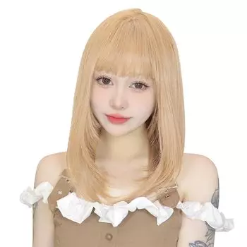 Sofeiyan Medium Natural Full Small Heat Full With Net Wig, Полудлинный, Блондин, Прямой, Парик, Многослойный, Женский, Парик, Лицо, Устойчивый, Парик, (платиновый