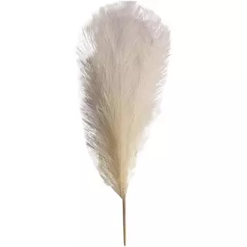 (Софиелес)6 веток, 50 см, пампасы секас, декор из травы, искусственный тростник, искусственный цветок, свадебный декор для дома, спальни, гостиной One Size винный