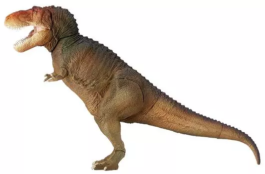 Soft Vinyl Toy Box Tyrannosaurus Classic Image Colors Total Length Approximately 270mm PVC Finished Figure Pre-painted