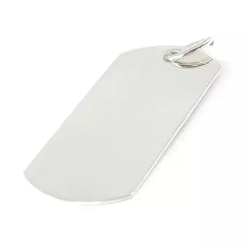 Сокровища Лили [F6304] - Серебряная медаль Американская тарелка