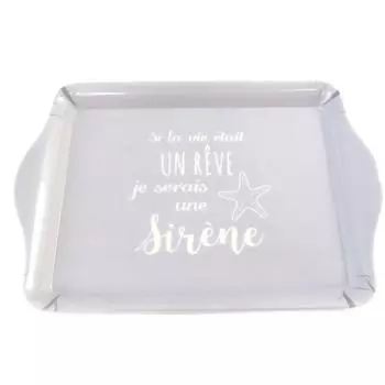 Сокровища Лили [Q1958] — Маленький серый лоток «Сообщения» (Если бы жизнь была мечтой, я был бы Русалкой) — 20. 5x14. 5см